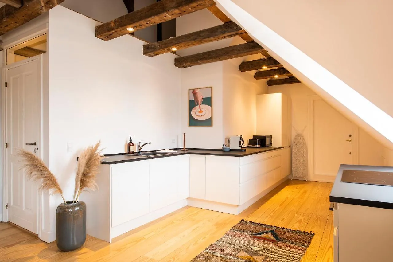 Town Hall Penthouse By Daniel&Jacob'S Kopenhaga Dania